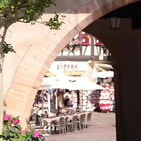 Spacieux A Avec Terrasse, Garage Privatif, Proche Centre Et Gare - Fr-1-722-2 Colmar