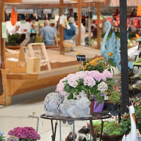 Appartement Spacieux à Avec Terrasse, Garage Privatif, Proche Centre Et Gare - Fr-1-722-2 Colmar